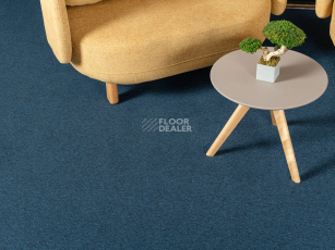 Haima Atom 07 Blue фото 3 | FLOORDEALER